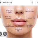인중주름 고양이주름 입술위주름 자체가 좋아지는 재생정안침 후기 좋은 이유는(보톡스 필러 주사 X)