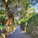 작가의산책길 이미지