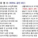 용인대 유사부 태권도장 이미지