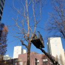 태진자원 이미지