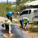 대야리(대실) 이미지