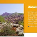 금산 이미지