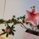 부평우체국 이미지