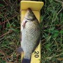 모아2리 이미지