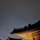 경복궁관리소 | 2025 가을 경복궁 야간 개장 후기 : 개장 시간, 7시 입장