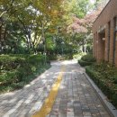 장애인어울림공원 이미지