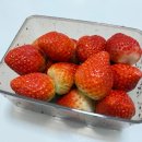 섬강축산 이미지