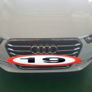 다나모터스 이미지