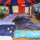 극단 교주 이미지