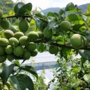 구례구역 이미지