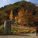 (유)타코마장수관광농원 | 사찰여행 가을의 운치를 더하는 공주 단풍 마곡사 숙박 농가민박 월정농원 황토펜션