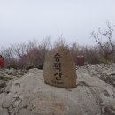 승학산 정상석 이미지