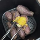 단원체육관 이미지