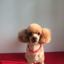 오송프렌즈샵
