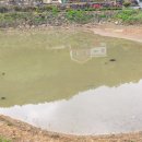 군서면사무소 이미지