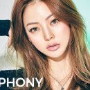 컬러심포니 이미지