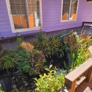 제주 소락 | 자연속의 제주 감성 숙소 소락 제주 커플 펜션으로 안성맞춤