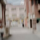 펫츠온더포인트 이미지