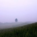 언덕목장 이미지