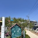 계양아트갤러리 | 인천 계양/ 반려견 동반, 도자기 체험과 야외정원있는 카페 [모모아트] 후기