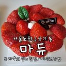 노원케이크맛집 기념일 선물용으로 좋은 마듀 롯데백화점 노원점 feat 케이크 상세사진 정보