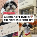 사람과 애견미용 | 신대방삼거리 애견미용 ㅣ 서울 동작구 상도동 고마워 강아지 후기