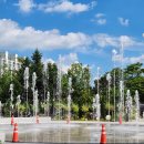 백옥대로1081번길 이미지