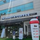 매머드익스프레스광주 - 광산구 장신로 133 | 수완지구 저렴하고 맛있는카페 매머드커피