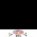 하얼빈테라피 이미지