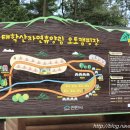 태학산자연휴양림오토캠핑장 이미지