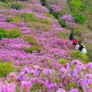 선홍이네