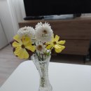 고마워꽃