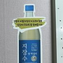 양양 죽도 해수욕장 노포 맛집 김미정 야식 후기