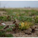 동해~애 이미지