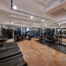 감성피티 이미지