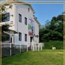 강아지 보호센터 이미지