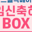 제제홀릭