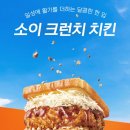 내세상 이미지