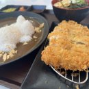 야마모리 - 종로구 창경궁로16길 16 | 양주 덕계역 카레맛집 야마모리야 덕계점 솔직후기｜고양이 밥모양이 귀엽고 카레가 진짜 맛있었던 곳