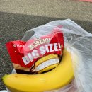 31140-8-22-3 | 2026 제 22회 창원 야철마라톤 3km 건강달리기 후기