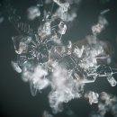 스노우뷰티 - 종로구 대학로9길 37 | 스노우뷰티