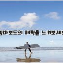 영림환경 | 템바보드 - 영림 템바보드, 템바보드 가격, 템바보드 인테리어