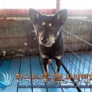 산곡로 이미지