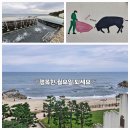 속초 가족여행 (세쨋날) 이미지