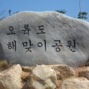 돋보이 개 이미지