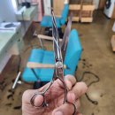 미미살롱 5.5 이미지