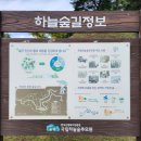 행복과 추억과 선물이 듬뿍!국립하늘숲추모원 피크닉 음악회에 다녀왔습니다~~