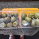 새론농장 이미지