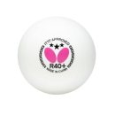 버터플라이 이미지