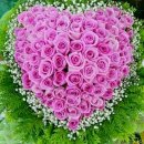 독서논술지도사 양성과정 이미지